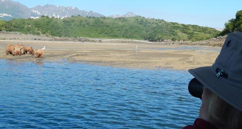 Coastal mountains and bays in Katmai